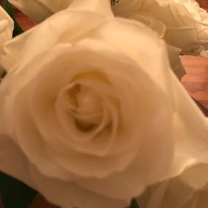 Meet your Posher, Marnie